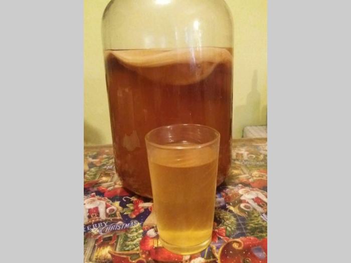 čajna gljiva kombuha besplatni mali oglasi