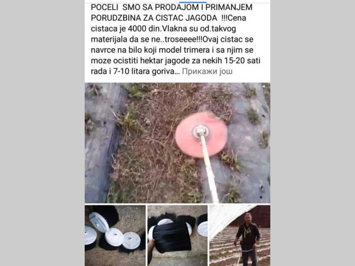 sadnice najboljih sorti jagoda besplatni mali oglasi