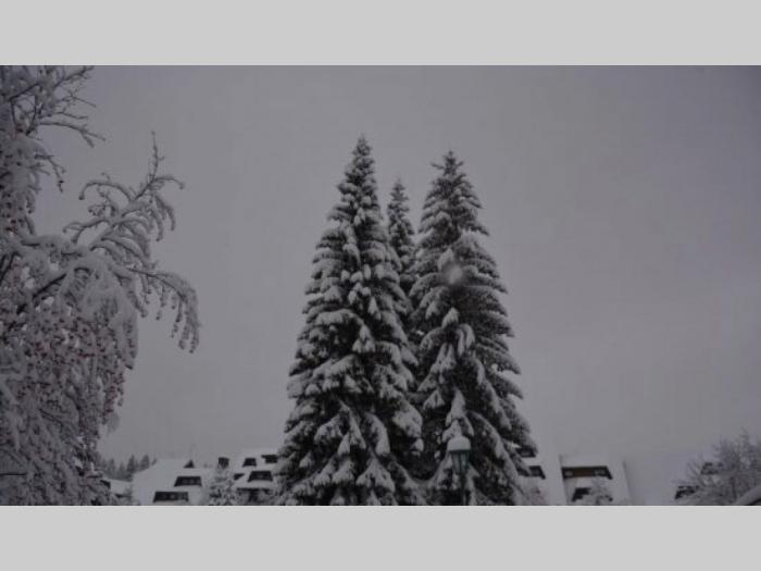 apartman srebrna pahulja konaci kopaonik besplatni mali oglasi