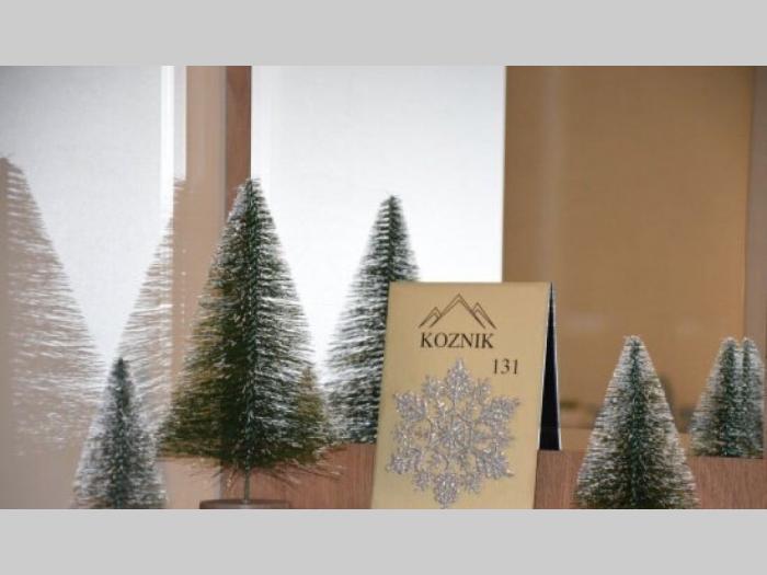 apartman srebrna pahulja konaci kopaonik besplatni mali oglasi