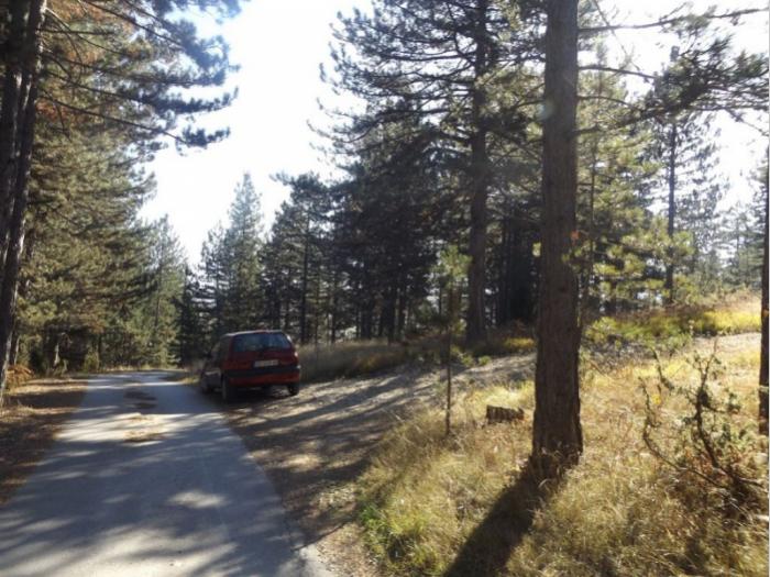 prodaje se plac u musvetama, zlatibor, čajetina besplatni mali oglasi