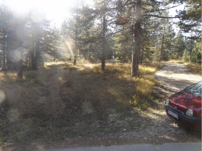 prodaje se plac u musvetama, zlatibor, čajetina besplatni mali oglasi