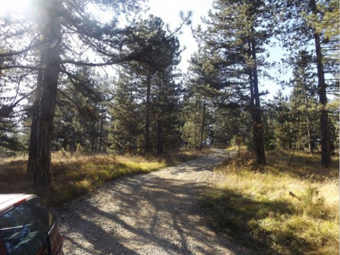 prodaje se plac u musvetama, zlatibor, čajetina besplatni mali oglasi