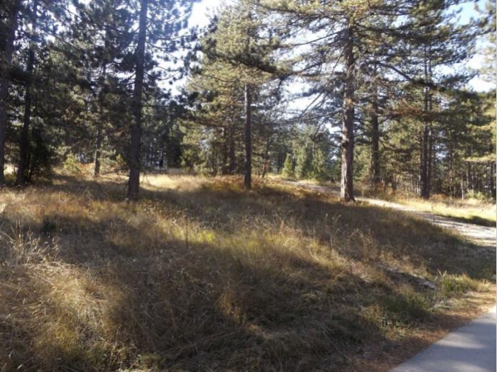 prodaje se plac u musvetama, zlatibor, čajetina besplatni mali oglasi