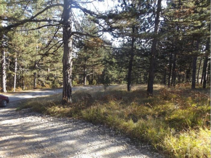 prodaje se plac u musvetama, zlatibor, čajetina besplatni mali oglasi