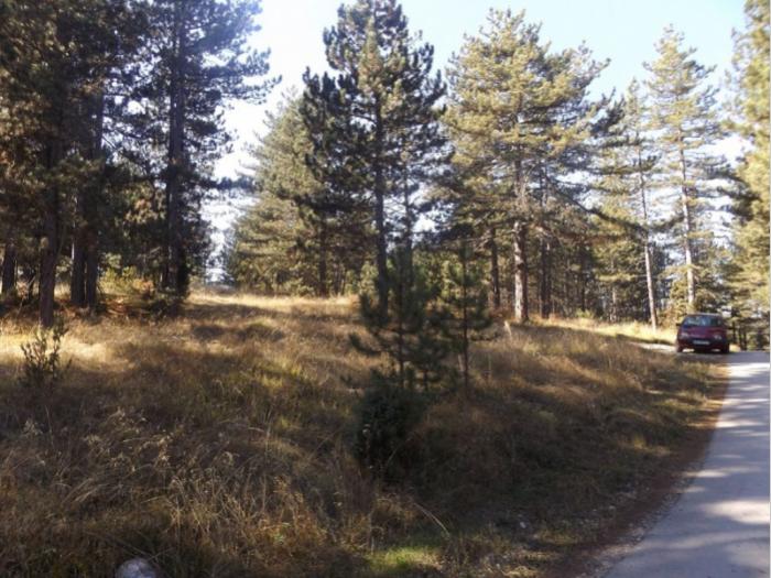 prodaje se plac u musvetama, zlatibor, čajetina besplatni mali oglasi