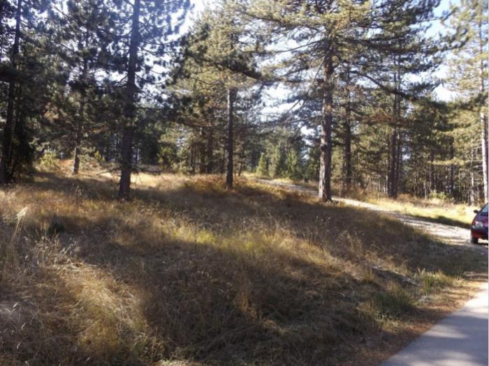 prodaje se plac u musvetama, zlatibor, čajetina besplatni mali oglasi