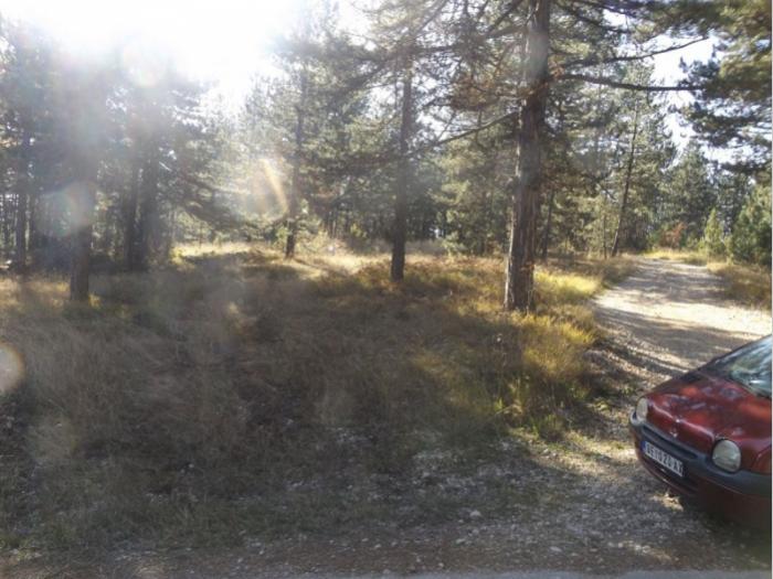 prodaje se plac u musvetama, zlatibor, čajetina besplatni mali oglasi