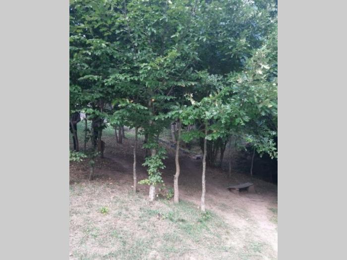 plac na zlatarskom jezeru besplatni mali oglasi