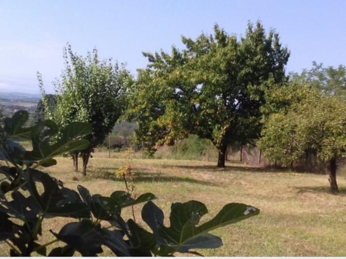 kuća i plac (106m2,14 03ari) vladimirci (skupljen) kod šapca besplatni mali oglasi