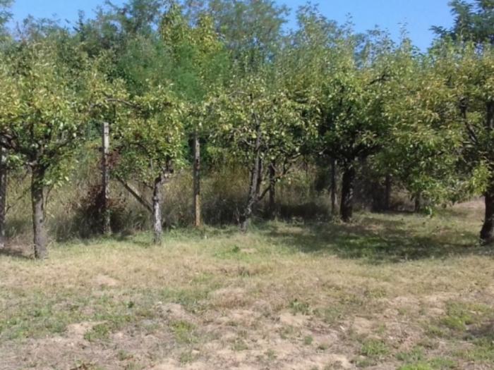 kuća i plac (106m2,14 03ari) vladimirci (skupljen) kod šapca besplatni mali oglasi