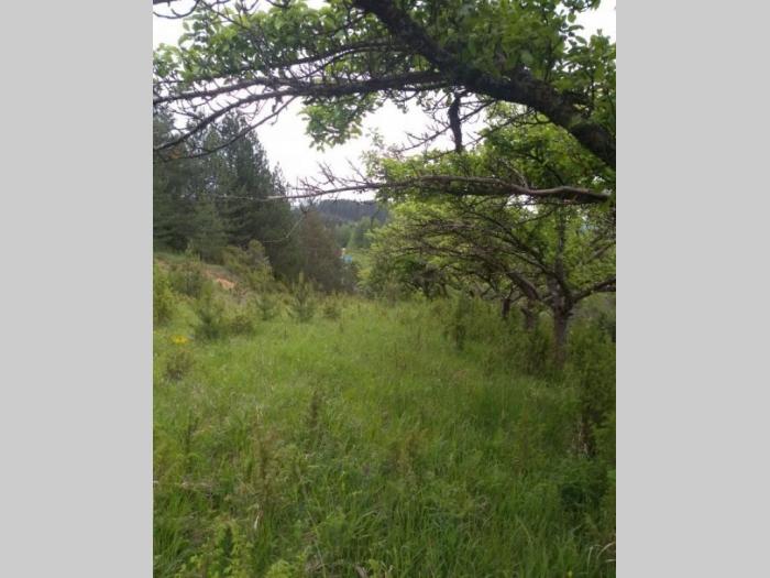 zemljište 46ari sa objektom mesto negbina besplatni mali oglasi