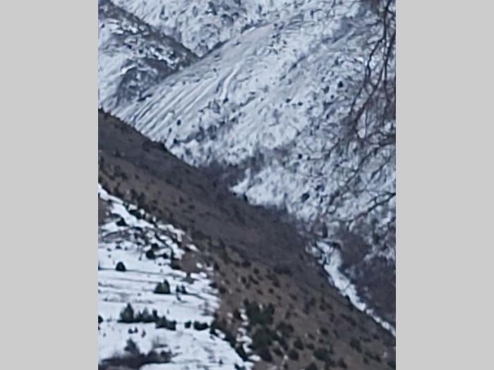 vikendica kopaonik besplatni mali oglasi