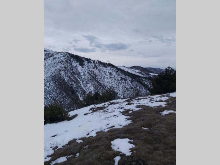 vikendica kopaonik besplatni mali oglasi