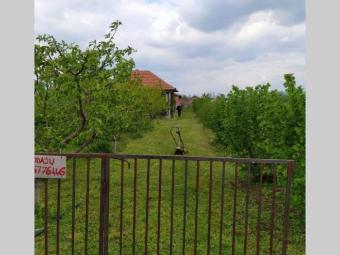 prodajem kompletno seosko domacinstvo besplatni mali oglasi