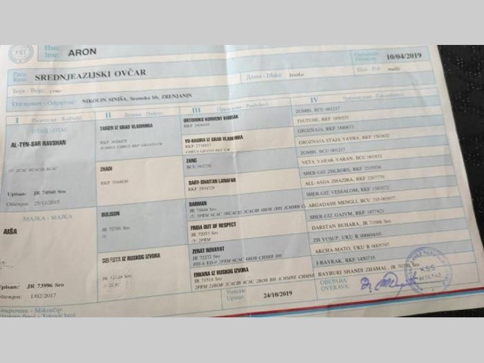štenci srednjeazijskog ovčara besplatni mali oglasi