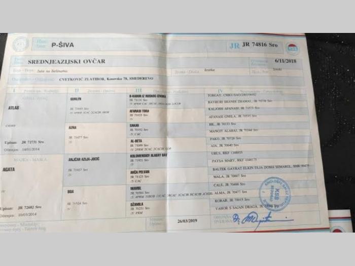 štenci srednjeazijskog ovčara besplatni mali oglasi