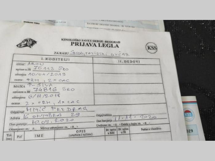 štenci srednjeazijskog ovčara besplatni mali oglasi