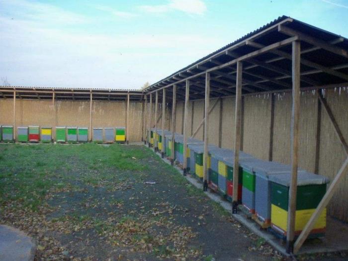 trska pletena, proizvodi od trske stukatur i trsčana izolacija besplatni mali oglasi