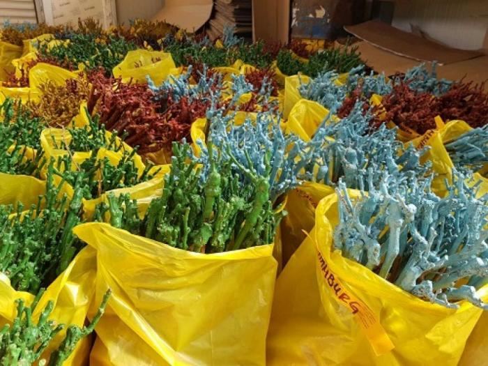voćne sadnice sorte voća za organsku proizvodnju besplatni mali oglasi