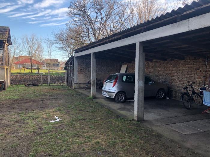 prodaja ili zamena kuče u banatskom novom selu besplatni mali oglasi