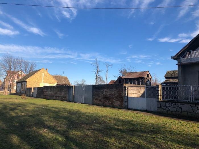 prodaja ili zamena kuče u banatskom novom selu besplatni mali oglasi