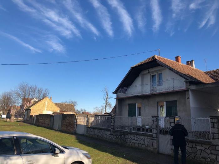 prodaja ili zamena kuče u banatskom novom selu besplatni mali oglasi