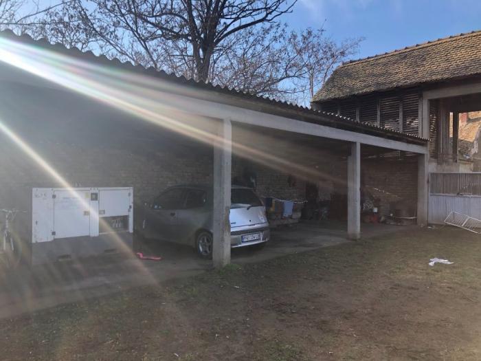 prodaja ili zamena kuče u banatskom novom selu besplatni mali oglasi