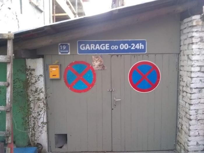 radionica, magazin i garažu izdajem centar beograda, zajedno sa parkingom samo 70 eur besplatni mali oglasi
