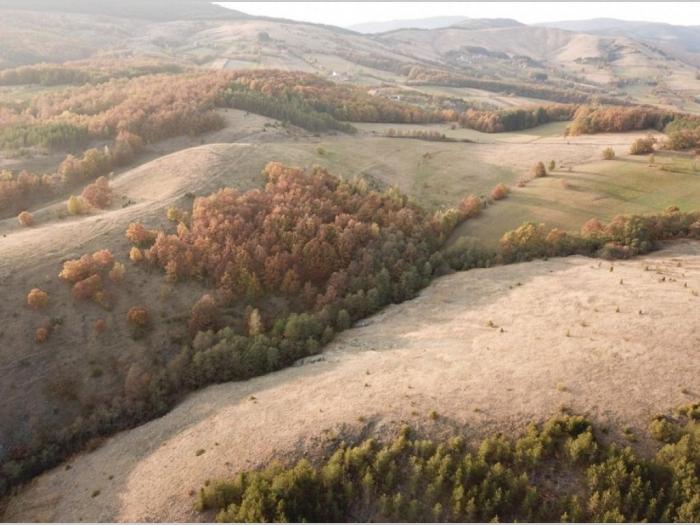 placevi tometino polje divčibare besplatni mali oglasi