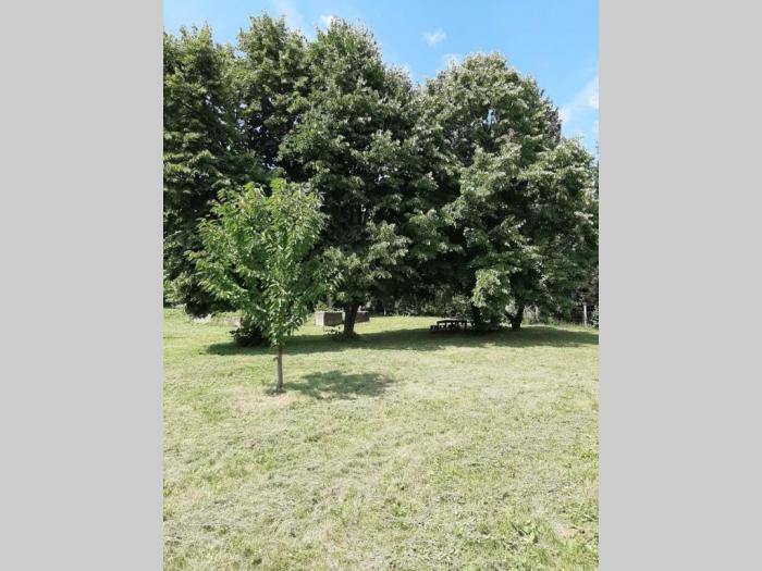 plac na fruškoj gori ležimir besplatni mali oglasi