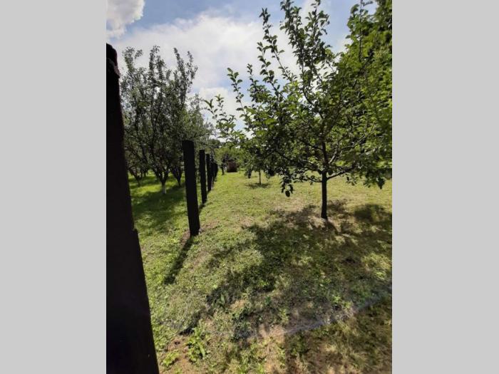 plac na fruškoj gori ležimir besplatni mali oglasi