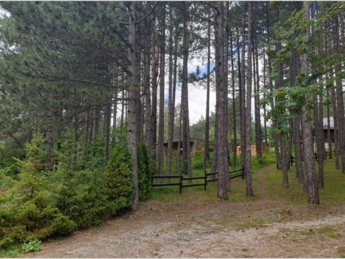 zlatibor karaula najbolji plac besplatni mali oglasi