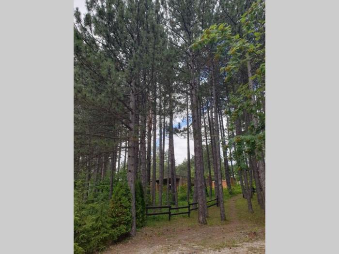 zlatibor karaula najbolji plac besplatni mali oglasi