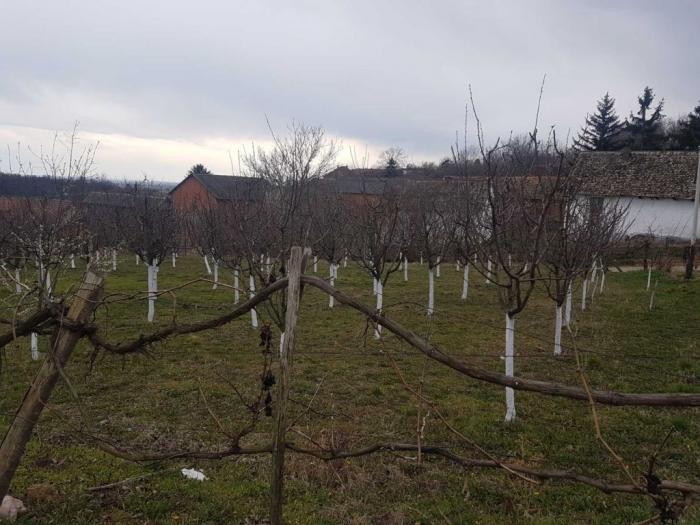 plac na prodaju lezimir besplatni mali oglasi