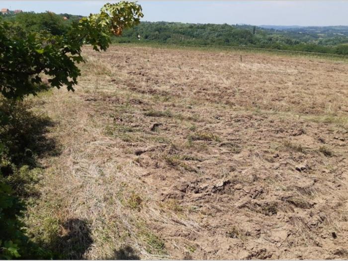 poljoprivredno zemljište njiva 3 7ha besplatni mali oglasi