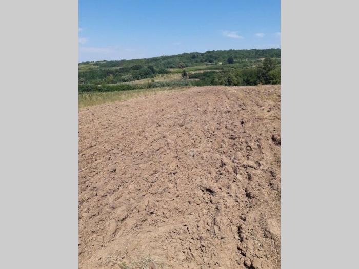 poljoprivredno zemljište njiva 3 7ha besplatni mali oglasi