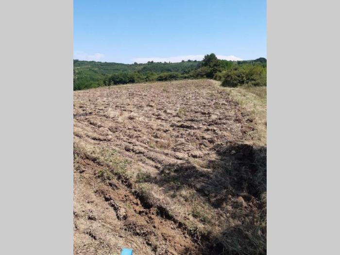 poljoprivredno zemljište njiva 3 7ha besplatni mali oglasi