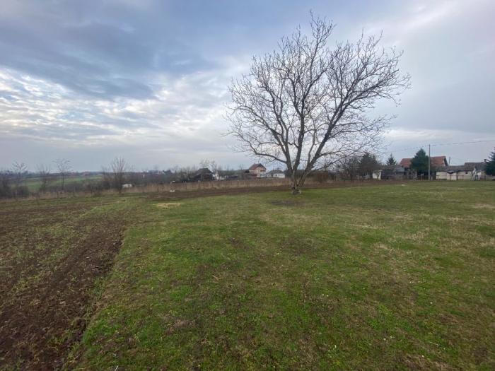 kuća sa placem 1ha ub besplatni mali oglasi