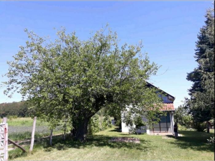 prodaja kuce i placa na selu besplatni mali oglasi