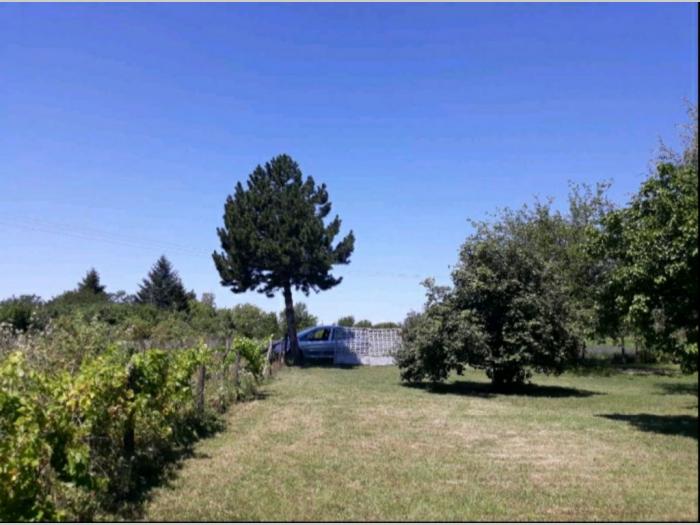 prodaja kuce i placa na selu besplatni mali oglasi