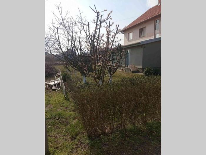 prodaje se deo kuće, sprat i potkrovlje 150m2 besplatni mali oglasi