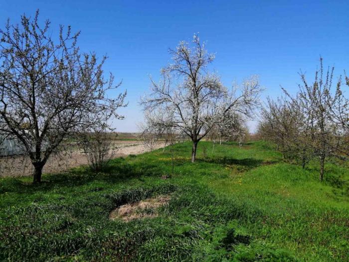 prodajem kuću u boćaru novi bečej besplatni mali oglasi