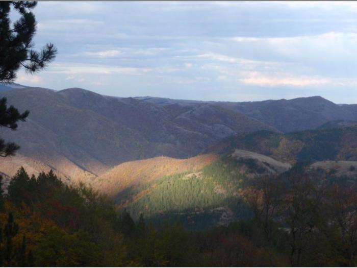 prodaja kuće i okućnice besplatni mali oglasi