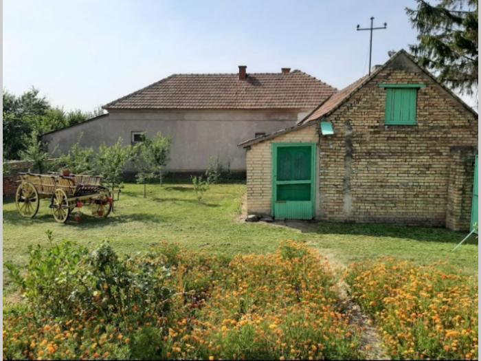 kuća na selu u vojvoda stepe besplatni mali oglasi
