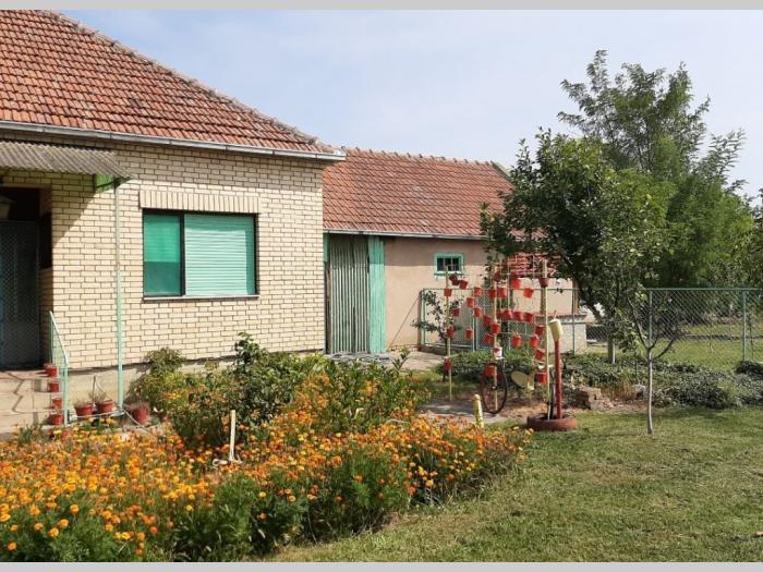 kuća na selu u vojvoda stepe besplatni mali oglasi