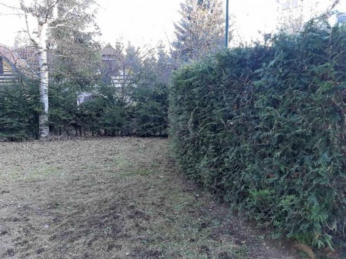 apartman maša zlatibor centar besplatni mali oglasi