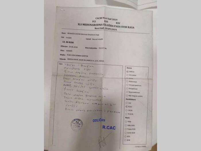 nemacki ovčar mužjak slobodan za parenje besplatni mali oglasi