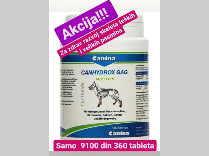 suuplementi canina canhydrox gag besplatni mali oglasi