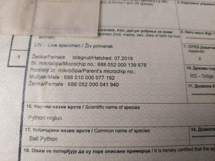 prodajem zmiju besplatni mali oglasi